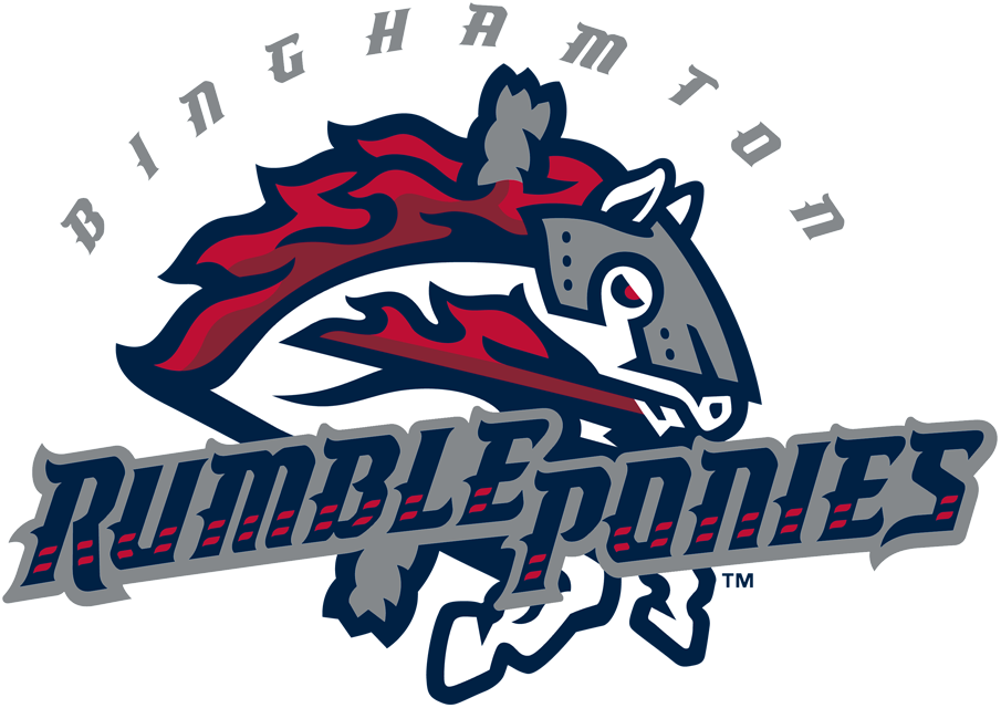 Binghamton Rumble Ponies 2017-Pres Primary Logo iron on heat transfer